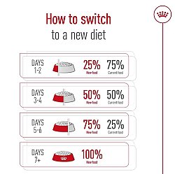 Royal Canin X-Small Ageing 12 Yaş Üzeri Yaşlı Köpek Maması 1,5 Kg + Temizlik Mendili - 9