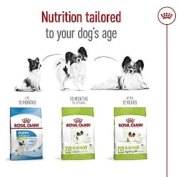 Royal Canin X-Small Ageing 12 Yaş Üzeri Yaşlı Köpek Maması 1.5 Kg x 2 Adet + Temizlik Mendili - 8