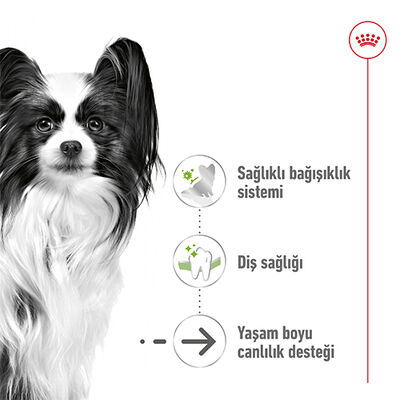 Royal Canin X-Small Ageing 12 Yaş Üzeri Yaşlı Köpek Maması 1.5 Kg x 2 Adet + Temizlik Mendili - 5
