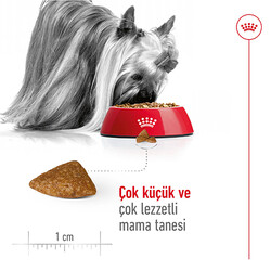 Royal Canin X-Small Ageing 12 Yaş Üzeri Yaşlı Köpek Maması 1.5 Kg x 2 Adet + Temizlik Mendili - 7