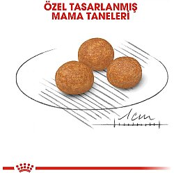 Royal Canin X-Small Küçük Irk Köpek Maması 1,5 Kg + Temizlik Mendili - 6