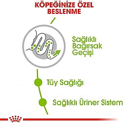 Royal Canin X-Small Küçük Irk Köpek Maması 3 Kg + Royal Canin Köpek Ödülü - 3