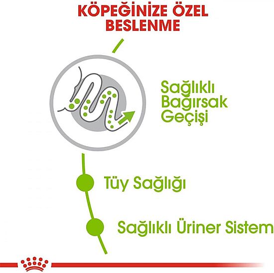 Royal Canin X-Small Küçük Irk Köpek Maması 3 Kg + Royal Canin Köpek Ödülü - 3