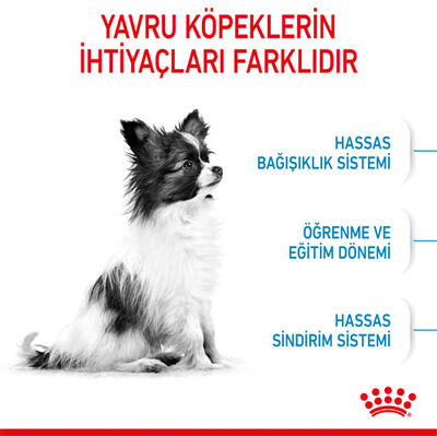 Royal Canin X-Small Puppy Küçük Irk Yavru Köpek Maması 1,5 Kg x 2 Adet + Temizlik Mendili - 5