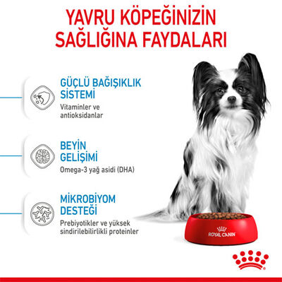 Royal Canin X-Small Puppy Küçük Irk Yavru Köpek Maması 1,5 Kg x 2 Adet + Temizlik Mendili - 6