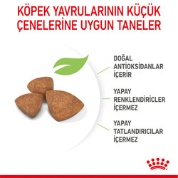 Royal Canin X-Small Puppy Küçük Irk Yavru Köpek Maması 1,5 Kg x 2 Adet + Temizlik Mendili - 7