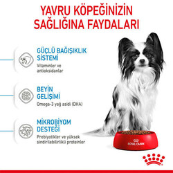 Royal Canin X-Small Puppy Küçük Irk Yavru Köpek Maması 3 Kg + Bez Çanta - Thumbnail