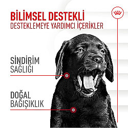 Royal Canin Chews Yavru Köpekler İçin Bağışıklık ve Sindirim Sistemi Destekleyici Ödül Maması 100 Gr - 2