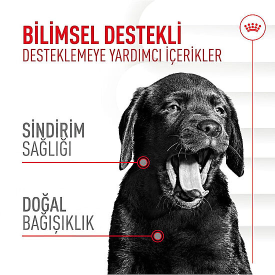 Royal Canin Chews Yavru Köpekler İçin Bağışıklık ve Sindirim Sistemi Destekleyici Ödül Maması 100 Gr - 2