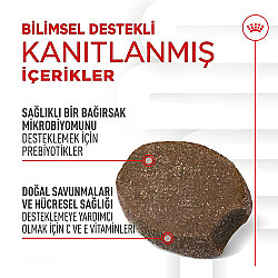 Royal Canin Chews Yavru Köpekler İçin Bağışıklık ve Sindirim Sistemi Destekleyici Ödül Maması 100 Gr - 3