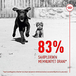 Royal Canin Chews Yavru Köpekler İçin Bağışıklık ve Sindirim Sistemi Destekleyici Ödül Maması 100 Gr - 4