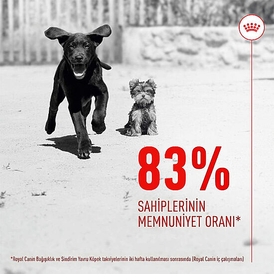 Royal Canin Chews Yavru Köpekler İçin Bağışıklık ve Sindirim Sistemi Destekleyici Ödül Maması 100 Gr - 4
