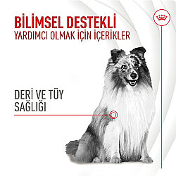 Royal Canin Chews Yetişkin Köpekler İçin Deri ve Tüy Sağlığını Destekleyici Ödül Maması 240 Gr - 2