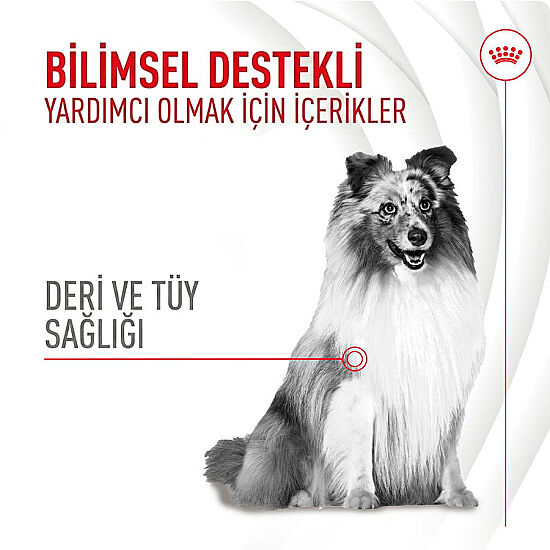 Royal Canin Chews Yetişkin Köpekler İçin Deri ve Tüy Sağlığını Destekleyici Ödül Maması 240 Gr - 2