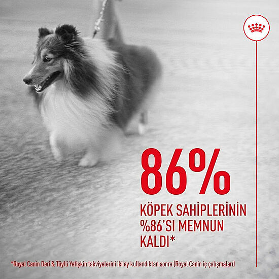 Royal Canin Chews Yetişkin Köpekler İçin Deri ve Tüy Sağlığını Destekleyici Ödül Maması 240 Gr - 4