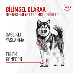 Royal Canin Chews Yetişkin Köpekler İçin Eklem ve Sağlıklı Yaşlanma Destekleyici Ödül Maması 240 Gr - 2