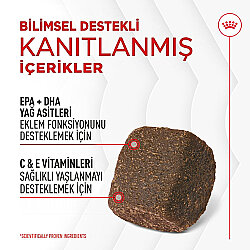 Royal Canin Chews Yetişkin Köpekler İçin Eklem ve Sağlıklı Yaşlanma Destekleyici Ödül Maması 240 Gr - 3
