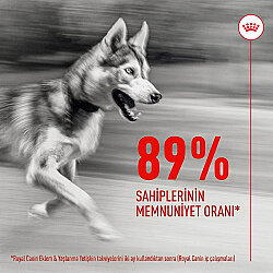 Royal Canin Chews Yetişkin Köpekler İçin Eklem ve Sağlıklı Yaşlanma Destekleyici Ödül Maması 240 Gr - 4