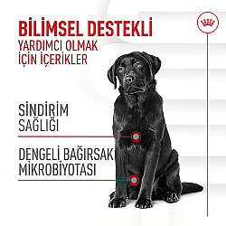 Royal Canin Chews Yetişkin Köpekler İçin Sindirim Sistemi Destekleyici Ödül Maması 160 Gr - 2