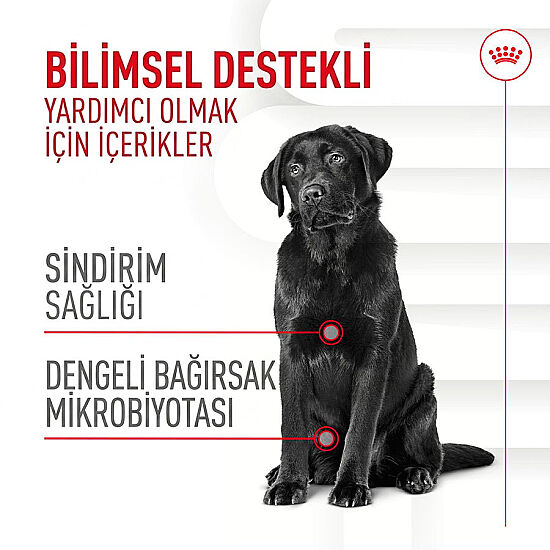 Royal Canin Chews Yetişkin Köpekler İçin Sindirim Sistemi Destekleyici Ödül Maması 160 Gr - 2