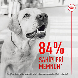 Royal Canin Chews Yetişkin Köpekler İçin Sindirim Sistemi Destekleyici Ödül Maması 160 Gr - 4
