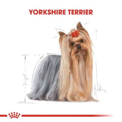 Royal Canin Yorkshire Terrier Köpek Maması 1,5 Kg + Temizlik Mendili