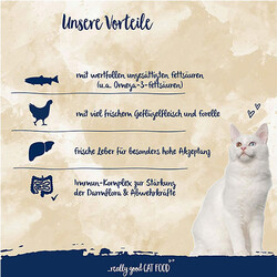 Sanabelle Forelle Alabalıklı Tahılsız Kedi Maması 400 Gr - Thumbnail