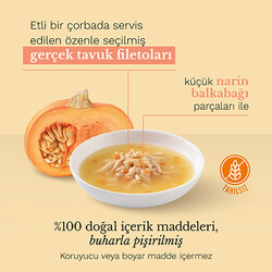 Schesir Soup Tavuklu ve Balkabaklı Tahılsız Kedi Çorbası 40 Gr - 4