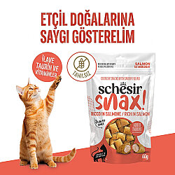 Schesir Snax Somonlu Dolgulu Kedi Ödülü 60 Gr - 2