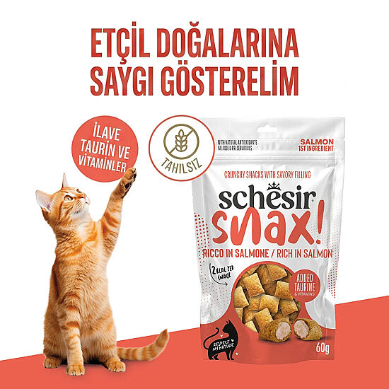 Schesir Snax Somonlu Dolgulu Kedi Ödülü 60 Gr - 2