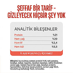 Schesir Snax Somonlu Dolgulu Kedi Ödülü 60 Gr - 3