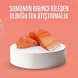 Schesir Snax Somonlu Dolgulu Kedi Ödülü 60 Gr - 5
