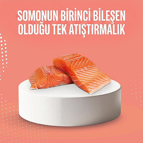 Schesir Snax Somonlu Dolgulu Kedi Ödülü 60 Gr - 5