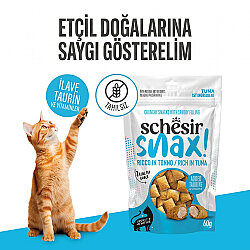 Schesir Snax Ton Balıklı Dolgulu Kedi Ödülü 60 Gr - 2