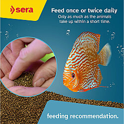 Sera Discus Granulat Granül Balık Kova Yemi 10 Lt ( 4,2 Kg ) - 7