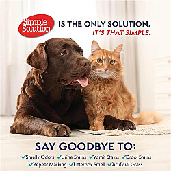 Simple Solution Extreme 3 Kat Etkili Leke ve Koku Giderici 945 ML Sprey - 7