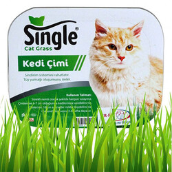 Single Cat Grass Fileli Natural Kedi Çimi - Single