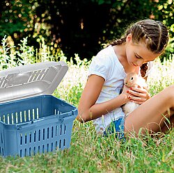 Stefanplast Midi Guliver Orta Boy Taşıma Gri/Beyaz 45x33x33 Cm - 3