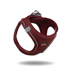 Tailpetz Air-Mesh Harness Köpek Göğüs Tasması Bordo M - Tailpetz