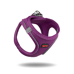 Tailpetz Air-Mesh Harness Köpek Göğüs Tasması Mor L - Tailpetz