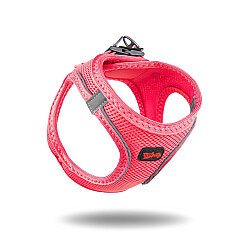 Tailpetz Air-Mesh Harness Köpek Göğüs Tasması Neon Pembe XL - Tailpetz