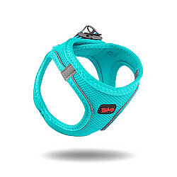 Tailpetz Air-Mesh Harness Köpek Göğüs Tasması Turkuaz M - Tailpetz