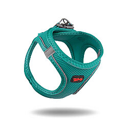 Tailpetz Air-Mesh Harness Köpek Göğüs Tasması Zümrüt XS - Tailpetz