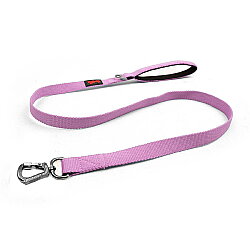 Tailpetz Match Leash Gezdirme Kayışı Leylak S - Tailpetz