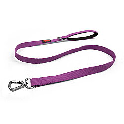 Tailpetz Match Leash Gezdirme Kayışı Mor M - Tailpetz