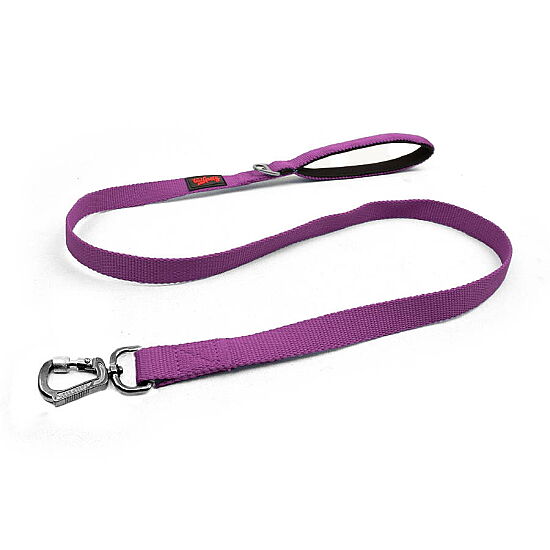 Tailpetz Match Leash Gezdirme Kayışı Mor M - 1