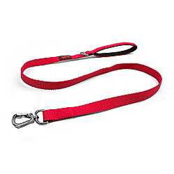 Tailpetz Match Leash Gezdirme Kayışı Neon Kırmızı S - Tailpetz