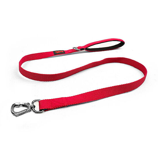 Tailpetz Match Leash Gezdirme Kayışı Neon Kırmızı S - 1