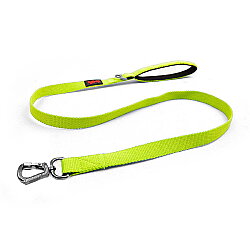 Tailpetz Match Leash Gezdirme Kayışı Neon Lime M - Tailpetz