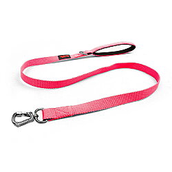 Tailpetz Match Leash Gezdirme Kayışı Neon Pembe S - Tailpetz
